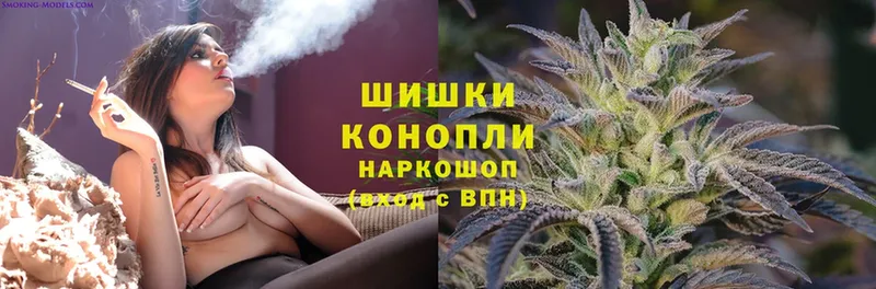 где купить наркотик  Нахабино  omg ONION  МАРИХУАНА SATIVA & INDICA 